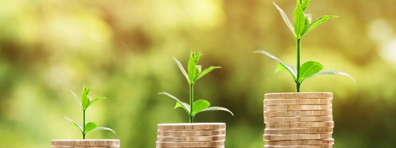 Wie kleine Einkommen trotzdem investieren können – Münzen mit Pflanze